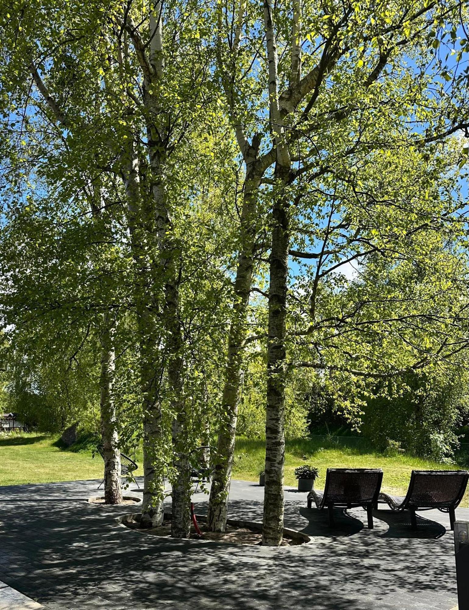 Casa vacanze Ando With Wood Stove Sauna *
